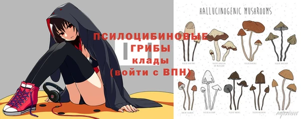PSILOCYBIN Тихвин