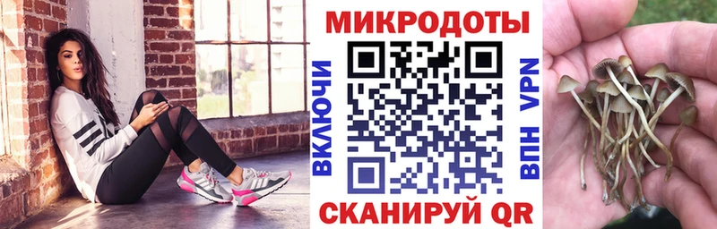 Псилоцибиновые грибы мухоморы  что такое   Шарья 